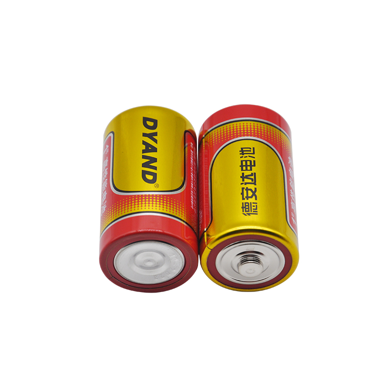 R20S D