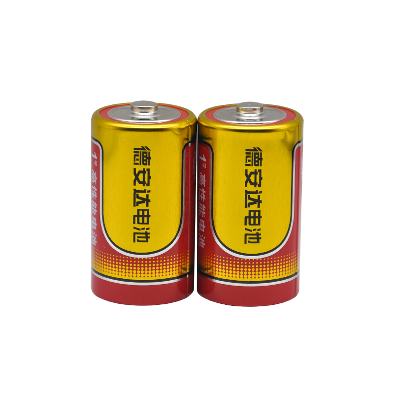 R20S D
