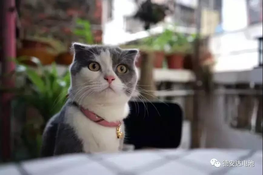 ABUIABACGAAg192u4wUooMf32AYw5AY4wgQ